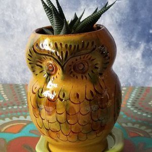 Owl Planter With Planted Succulent